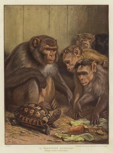 Une question darwinienne (chromolithographie)